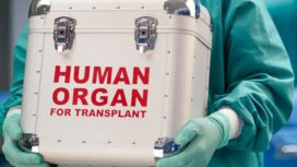 Ingatan dan kepribadian diwarikan ke penerima transplantasi