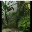 Hujan deras di wilayah Malang menyebabkan banjir dan tanah longsor, bahkan menelan dua korban terseret arus banjir. Tangkap layar video instagram@info?negri