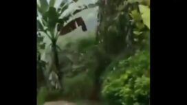 Hujan deras di wilayah Malang menyebabkan banjir dan tanah longsor, bahkan menelan dua korban terseret arus banjir. Tangkap layar video instagram@info?negri