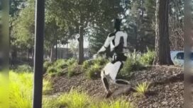 Robot Humanoid buatan Tesla ini sudah belajar di jalan tak rata, nail turun di tanjakan. Instagram@ctd.insider