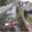 Polisi dan warga menyaksikan becak dan jasad Kusnan, berada di saluran irigasi desa Plaosan, Babat, Lamongan. Instagram@berita_lamongan