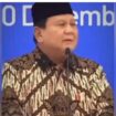 Presiden Prabowo saat memberikan pengarahan dalam Musrenbang, di Jakarta, Senin, 30 Desember 2024. Instagram@kabarlampung