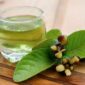 Teh daun jambu banyak manfaat