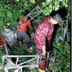 Diterjang puting beliung, pohon beringin raksasa di taman kota Mojosari, Mojokerto, tumbang menimpa enam unit motor yang diparkir, Sabtu 21 Desember 2024. tangkap layar video@kabarterdepanmojokerto