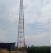 Tower BTS di desa Tanjunggunung, Kecamatan Peterongan, Kabupaten Jombang diduga berdiri ilegal alias tanpa ijin. (Foto: KREDONEWS.COM/ Istimewa)