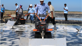 PN Garam masih terus berupaya meningkatkan produksi gram di dalam negeri, sebagai bagian dari kebutuhan garam nasional. Foto: PN Garam