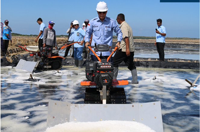 
					PN Garam masih terus berupaya meningkatkan produksi gram di dalam negeri, sebagai bagian dari kebutuhan garam nasional. Foto: PN Garam