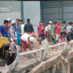 Inilah tempat kejadian perkara (TKP) seorang karyawan tewas akibat kecelakaan kerja, seorang karyawan PT Tri Setia Cipta Persada di Desa Watuprapat, Kecamatan Nguling, Kabupaten Pasuruan. instagram@pasuruan.kekinian 