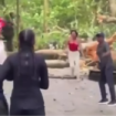Hujan lebat di lokasi Forest Monkey Ubud Bali, menyebabkan permohoan tumbang mengakibatkan dua orang WNA tewas terimpa pohon roboh, satu lagi luka-luka, 10 Desember 2024. tangkap layar video@ctd.insider