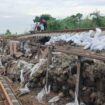 Tergerus air rel menggantung/Ist