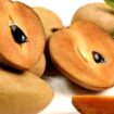  Kulit sawo juga merupakan sumber antioksidan dan vitamin yang sangat baik, yang dapat mendukung sistem kekebalan tubuh yang lebih sehat/Nursery