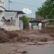 Banjir Bandang menimpa  wilayah kecamatan Rengel, Tuban, Minggu sore, 4 Januari 2025. Akibat hujan deras. Tangkap layar video instgaram@info_tuban