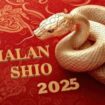 Tahun ular kayu baik untuk shio kuda/Ist