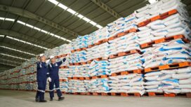 Foto: Istimewa
Stok pupuk bersubsidi Petrokimia Gresik sudah ada di gudang-gudang Lini III atau tingkat kabupaten/kota seluruh Indonesia.