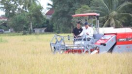 Wamentan, Sudaryono saat melakukan panen raya. (Foto: Istimewa)