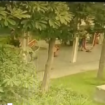 Balita FO, 2, akhirnya meninggal dunia di rumah sakit, setelah tertimpa alat gym fasilutas umum warga perumahan Citra garden, Gresik. Tangkap layar video instagram@wongresik