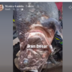 Nelayan lokal, Gorontalo Utara, Oskar Kaluku menemukan seekor ikan purba Coelacanth di perairan Desa Imana, Kecamatan Atinggola, Kabupaten Gorontalo Utara pada 16 Januari 2025. akun facebook@nuning lamola 