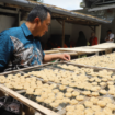 PJ Bupati Jombang Teguh Narutomo memeriksa secara teliti, produksi rengginang UMKM Jabong, dalam kunjungan kerja cek repeat order (pesan ulang) dari importer Brunei Darussalam, Sabtu 18 Januari 2025. Foto: jombangkab.go.id