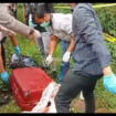 Warga desa Dadapan, Kecamatan Kendal, Ngawi menemukan koper berisi may4t perempuan dalam kondisi bugil, Kamis 23 Januari 2025. Instagram@jawaaktif