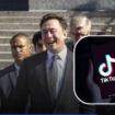 China berniat menjual aplikasi TikTok kepada Elon Musk senilai Rp 811,750 miliar. Instagram@balichannel.tech