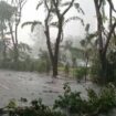 Sampai 5 Februari Jatim dilanda angin kencang/Ist