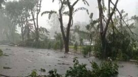 Sampai 5 Februari Jatim dilanda angin kencang/Ist