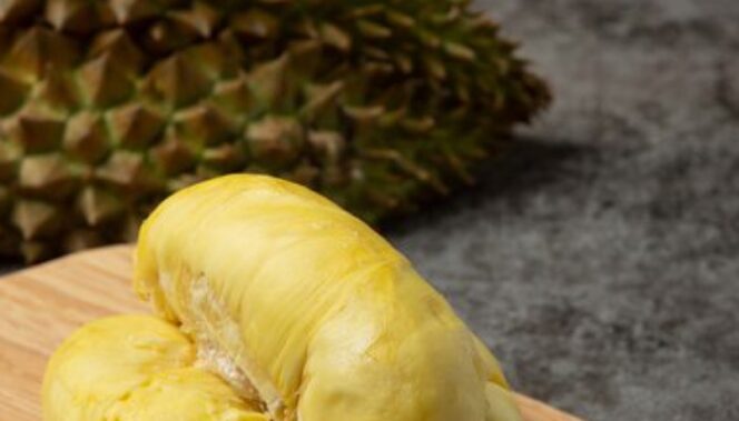 
					Wisata Durian di Wonosalam Jombang, Terdapat Musang King dan Ragam Varietas Premium