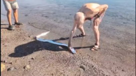 Oarfih --warga setempat menjuluki sebagai ikan kiamat-- ikan langka, ini tiba-tiba muncul terlihat berenang di perairan dangkal di Playa El Quemado di Baja California Sur, Meksiko,  9 Februari 2025. Tangkap layar video Instagram@unexplnd