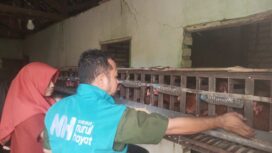 Foto: Istimewa 
Karsinah penerima bantuan berupa ayam petelur dari Hamba Allah.
