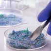 Mikroplastik ada di mana-mana