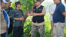PJ Bupati Jombang, Teguh Nartuomo berhenti sejenak di lahan kebun jagungwilayah KPH Jombang, berdiskusi soal ketahanan pangan untuk wilayah Jombang.  Foto: jombangkab.go.id