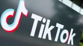 TikTok disukai masyarakat Indonesia