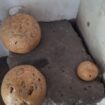 Raden Ronggo berolah raga dengan tiga batu ini