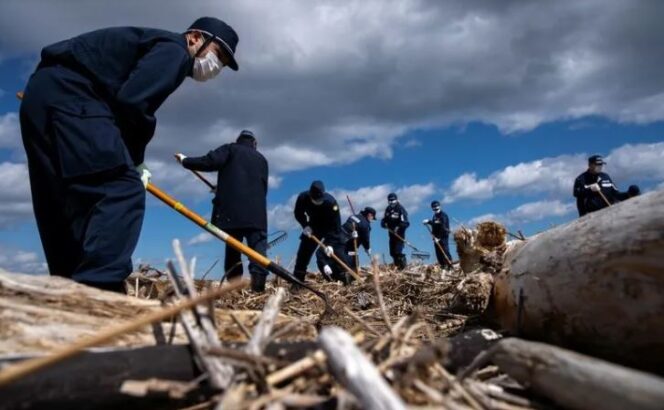 
					Petugas polisi ikut serta dalam operasi pencarian jenazah orang-orang yang hilang setelah bencana gempa bumi dan tsunami 11 Maret 2011 di Namie, prefektur Fukushima