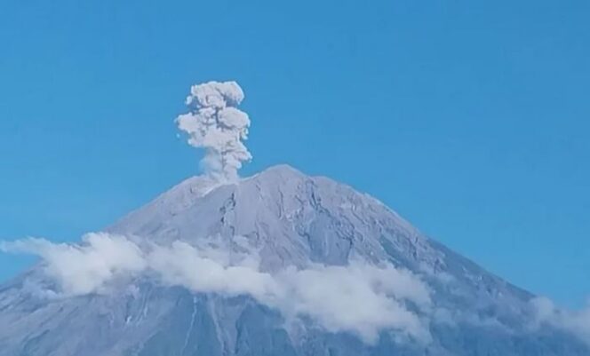 
					Gunung Semeru Erupsi warga diminta waspada (Ist)