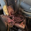 Foto; Istimewa
Kerangka manusia di dalam mobil yang lama parkir di halaman Mapolsek Ujungpangkah Gresik