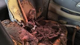 Foto; Istimewa
Kerangka manusia di dalam mobil yang lama parkir di halaman Mapolsek Ujungpangkah Gresik