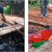 Balai Besar Pengawasan Obat dan Makanan (BBPOM) Serang, provinsi Banten,  memusnahkan 12 ton cincau berformalin hingga 37 persen. Formalin adalah bahan untuk pengawet mayat, jika dikonsumsi bisa menyebabkan kanker. 
Instagram@ilmudata