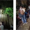 (Kiri) Petugas Damkar Serang menggunakan tangga untuk mengevakuasi Arif yang ada di atas pohon beringin, namun keduanya terjatuh. (Kanan) Petugas Damkar membopong Arif, di kecamatan Petir, Serang, Banten. Instagram@ikl_nusantara