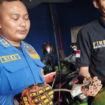 Petugas Damkar kabupaten Mojoagung berhasil mengevakuasi seekor ular, yang menyelinap di dalam kerangka motor milik pedagang yang dipakirk di pasar Mojokagung. Instagram@damkar_kabupaten_jombang