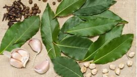 Daun salam sebagai bumbu juga obat