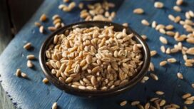 Biji-bijian kuno yang kini jadi superfood