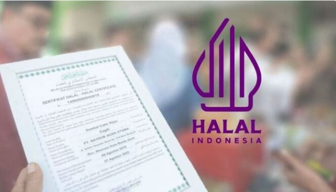 
					AS Kritik Sertifikasi Halal RI: Prosedur Dinilai Rumit, Mahal dan tak Transparan