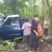 Tiga kendaraan terlibat kecelakaan di kawasan hutan Baluran, jalur Panturan, Sitobondo, Rabu 2 April 2025.
Tangkap layar video Instagram@ikl_nusantara