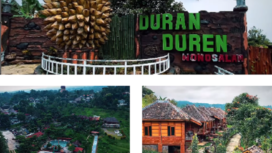 Inilah lokasi wisata alami bernama Duran Duren Wonosalam, kawasan yang sangat terkenal dengan buah duren di Jombang. Tangkap layar video Instagram@wargajombang