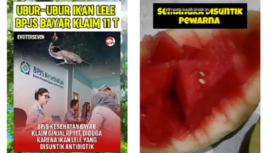 Ikan lele yang disuntik antibiotik, sebagai terduga penyebab gagal ginjal bagi yang mengonsumsi. Demikian pula buah-buah yang disuntik pewarna Rhodamin juga bisa menjadi penyebab gagal ginjal. Tangkap layar Yotube@keluarga_bahagia/ evoterseven