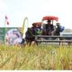 Mengenakan topi laken mirip Coboy, bupati Jombang Warsubi mengendalikan combine harverster (mesin panen) padi diikuti pejabata fokompimda Jobang turun ke sawah panen padi di Plosogeneng, Jombang saat live panen raya bersama Presiden Prabowo, Senin 7 April 2025. Foto: jombangkab.go.id