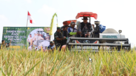 Mengenakan topi laken mirip Coboy, bupati Jombang Warsubi mengendalikan combine harverster (mesin panen) padi diikuti pejabata fokompimda Jobang turun ke sawah panen padi di Plosogeneng, Jombang saat live panen raya bersama Presiden Prabowo, Senin 7 April 2025. Foto: jombangkab.go.id