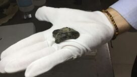 : Para peneliti menemukan tulang-tulang Homo erectus di tempat penyimpanan lebih dari 6.000 fosil yang digali di Selat Madura, Indonesia. (Dok. Harold Berghuis) 