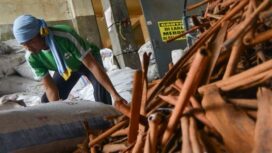 Pemakaian moderat masih aman